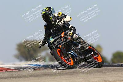 media/Oct-06-2025-2WTD (Mon) [[90522c3a0b]]/B Group/1120am (Grapevine)/